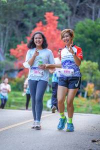 BIB: 821, 8216
                            <button type="button" onclick="openModal(19241228)" class="btn btn-primary btn-sm float-right btn-popup" data-toggle="modal" data-target=".modal-high-quality">
                        <i class="fas fa-shopping-cart"></i> Add to Cart
                    </button>
                                            <button type="button" onclick="isThisMe(19241228, true)" class="btn btn-success btn-sm float-right btn-popup btn-isme hidden" data-toggle="tooltip" data-placement="bottom" title="นี่คือรูปของคุณใช่ไหม คลิกที่นี่เพื่อเอาเข้าอัลบั้ม">
                        <i class="fas fa-plus"></i> Add to album
                    </button>
                    <button type="button" onclick="isThisMe(19241228, false)" class="btn btn-warning btn-sm float-right btn-popup btn-isnotme hidden">
                        <i class="fas fa-ban"></i> Remove from album
                    </button>